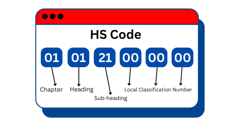 What Is an HS Code and How Does It Affect Import Costs
