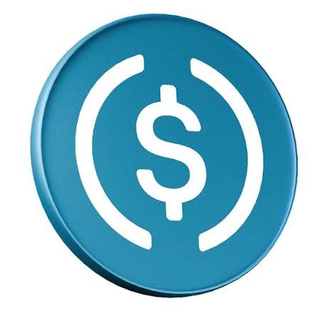 Which Network Is USDC On and Which Should You Choose